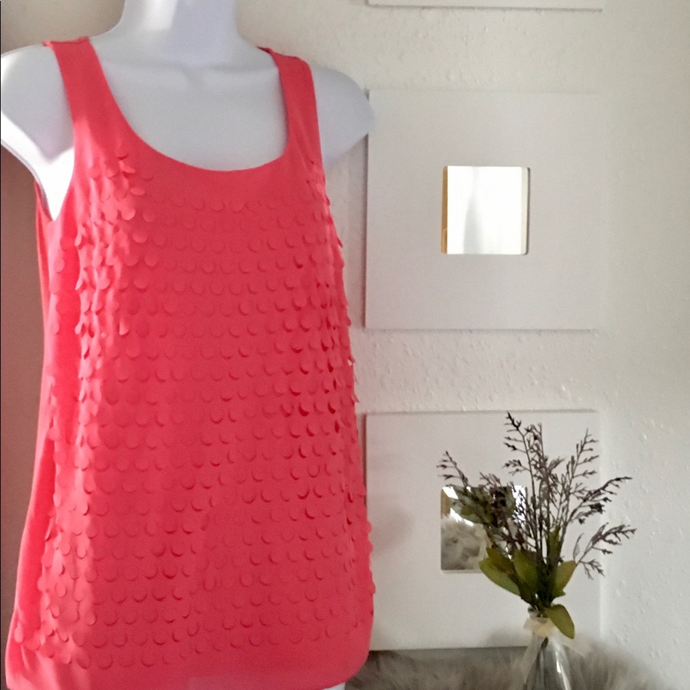 Ann Taylor Top